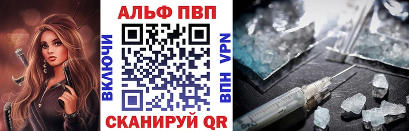 A PVP СК КРИС  Нестеров 