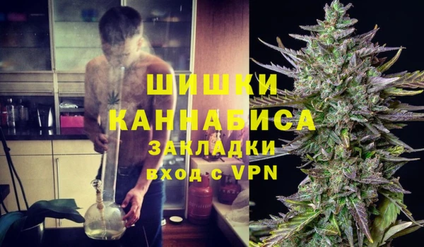 дмт Новокубанск