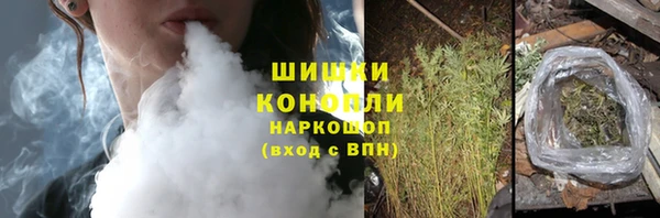 СК Новозыбков
