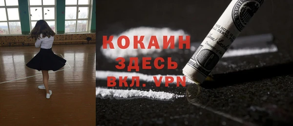 СК Новозыбков
