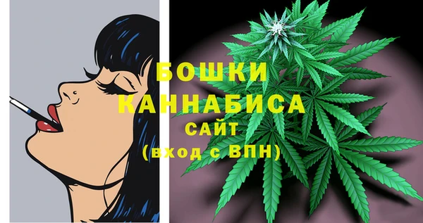 молекула духа Новодвинск