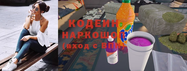 СК Новозыбков