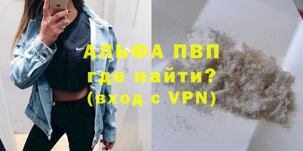 молекула духа Новодвинск